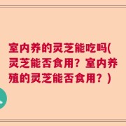 室内养的灵芝能吃吗(灵芝能否食用？室内养殖的灵芝能否食用？)