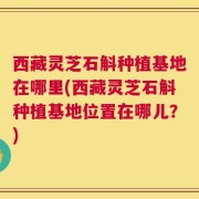 西藏灵芝石斛种植基地在哪里(西藏灵芝石斛种植基地位置在哪儿？)