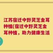 江苏宿迁中野灵芝金耳种植(宿迁中野灵芝金耳种植，助力健康生活