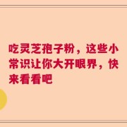 吃灵芝孢子粉，这些小常识让你大开眼界，快来看看吧