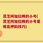 灵芝阿加拉姆的小号(灵芝阿加拉姆的小号显现出押韵技巧)