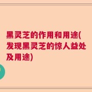 黑灵芝的作用和用途(发现黑灵芝的惊人益处及用途)