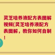 灵芝培养液配方表图解视频(灵芝培养液配方表图解，教你如何自制！