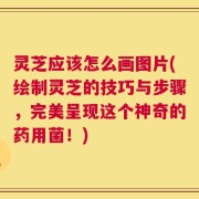 灵芝应该怎么画图片(绘制灵芝的技巧与步骤，完美呈现这个神奇的药用菌！)