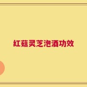 红菇灵芝泡酒功效