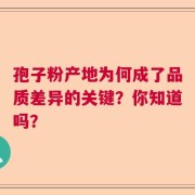孢子粉产地为何成了品质差异的关键？你知道吗？