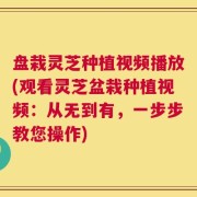 盘栽灵芝种植视频播放(观看灵芝盆栽种植视频：从无到有，一步步教您操作)