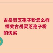 古岳灵芝孢子粉怎么样 探究古岳灵芝孢子粉的优劣