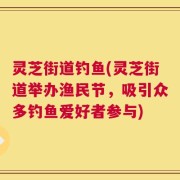 灵芝街道钓鱼(灵芝街道举办渔民节，吸引众多钓鱼爱好者参与)