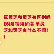 草灵芝和灵芝有区别吗视频(视频解读 草灵芝和灵芝有什么不同？)
