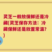 灵芝一般放保鲜还是冷藏(灵芝保存方法：冷藏保鲜还是放置常温？)