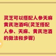 灵芝可以搭配人参天麻黄芪泡酒吗(灵芝搭配人参、天麻、黄芪泡酒的做法和步骤)