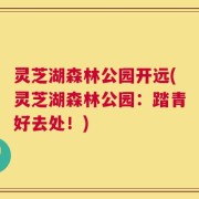 灵芝湖森林公园开远(灵芝湖森林公园：踏青好去处！)