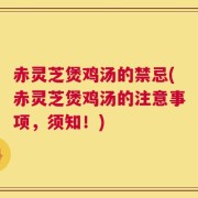 赤灵芝煲鸡汤的禁忌(赤灵芝煲鸡汤的注意事项，须知！)