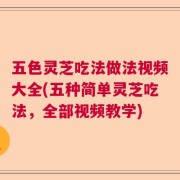 五色灵芝吃法做法视频大全(五种简单灵芝吃法，全部视频教学)