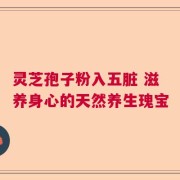 灵芝孢子粉入五脏 滋养身心的天然养生瑰宝