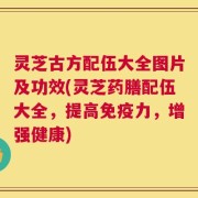 灵芝古方配伍大全图片及功效(灵芝药膳配伍大全，提高免疫力，增强健康)