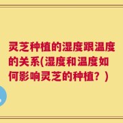 灵芝种植的湿度跟温度的关系(湿度和温度如何影响灵芝的种植？)