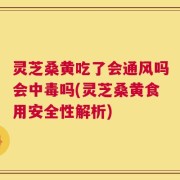 灵芝桑黄吃了会通风吗会中毒吗(灵芝桑黄食用安全性解析)