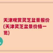 天津观赏灵芝盆景报价(天津灵芝盆景价格一览)
