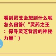 看到灵芝会想到什么呢怎么回答(“灵药之王：探寻灵芝背后的神秘力量”)