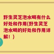野生灵芝泡水喝有什么好处和作用(野生灵芝泡水喝的好处和作用详解！)