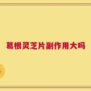 葛根灵芝片副作用大吗