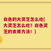 白色的大灵芝怎么吃(大灵芝怎么吃？白色灵芝的食用方法！)