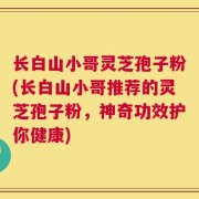 长白山小哥灵芝孢子粉(长白山小哥推荐的灵芝孢子粉，神奇功效护你健康)