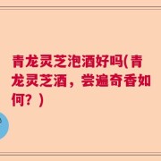 青龙灵芝泡酒好吗(青龙灵芝酒,尝遍奇香如何?)