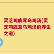 灵芝鸡鹿茸乌鸡汤(灵芝鸡鹿茸乌鸡汤的养生之道)