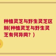 种植灵芝与野生灵芝区别(种植灵芝与野生灵芝有何异同？)