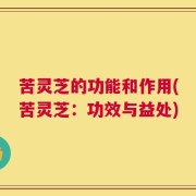 苦灵芝的功能和作用(苦灵芝：功效与益处)