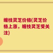 缠枝灵芝价格(灵芝价格上涨，缠枝灵芝受关注)