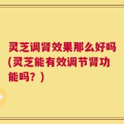 灵芝调肾效果那么好吗(灵芝能有效调节肾功能吗？)