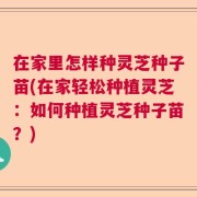 在家里怎样种灵芝种子苗(在家轻松种植灵芝：如何种植灵芝种子苗？)
