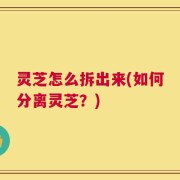 灵芝怎么拆出来(如何分离灵芝？)