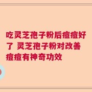 吃灵芝孢子粉后痘痘好了 灵芝孢子粉对改善痘痘有神奇功效