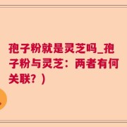 孢子粉就是灵芝吗_孢子粉与灵芝：两者有何关联？)