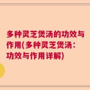 多种灵芝煲汤的功效与作用(多种灵芝煲汤：功效与作用详解)