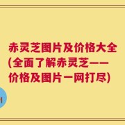 赤灵芝图片及价格大全(全面了解赤灵芝——价格及图片一网打尽)