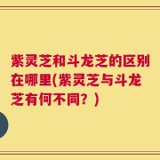 紫灵芝和斗龙芝的区别在哪里(紫灵芝与斗龙芝有何不同？)