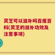 灵芝可以滋补吗百度百科(灵芝的滋补功效及注意事项)