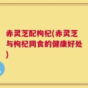 赤灵芝配枸杞(赤灵芝与枸杞同食的健康好处)