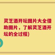 灵芝酒开坛图片大全借助图片，了解灵芝酒开坛的全过程)