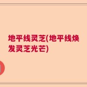 地平线灵芝(地平线焕发灵芝光芒)