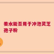 姜水能否用于冲泡灵芝孢子粉