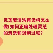 灵芝要清洗再煲吗怎么做(如何正确处理灵芝的清洗和煲制过程？
