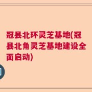 冠县北环灵芝基地(冠县北角灵芝基地建设全面启动)