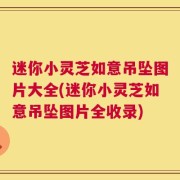 迷你小灵芝如意吊坠图片大全(迷你小灵芝如意吊坠图片全收录)